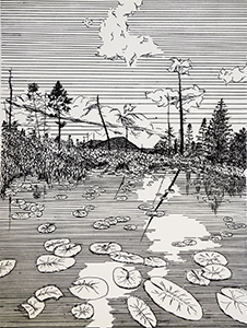 Image of Jeanne Kagle's ink drawing, Lilies on Elm Lake.